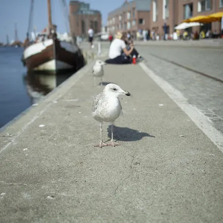 Ferienhaus In Boiensdorf For Two *