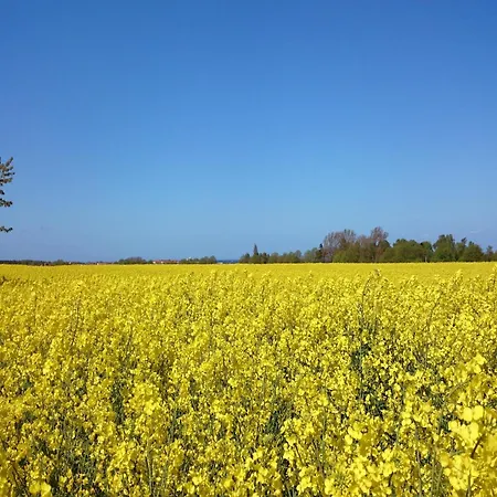 In Boiensdorf For Two * Boiensdorf